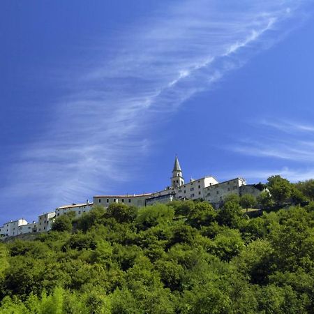 Beautiful Villa Ida & Mirko With Pool In Buzet Zewnętrze zdjęcie