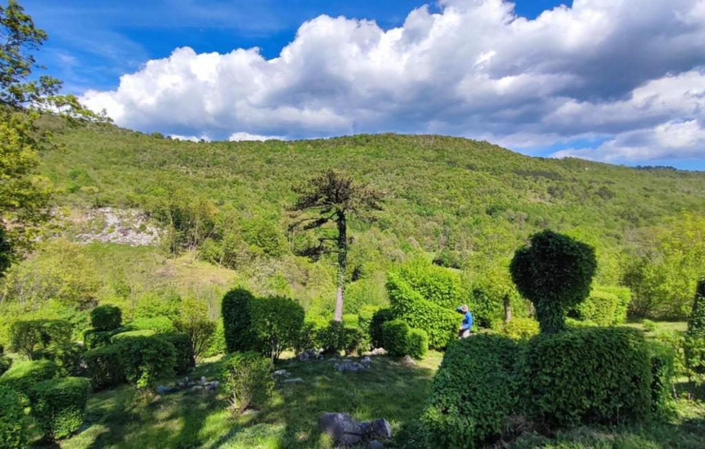 Beautiful Villa Ida & Mirko With Pool In Buzet Zewnętrze zdjęcie